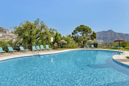 a43fd5077b49e75d5beac9a9a4f55020 - 24