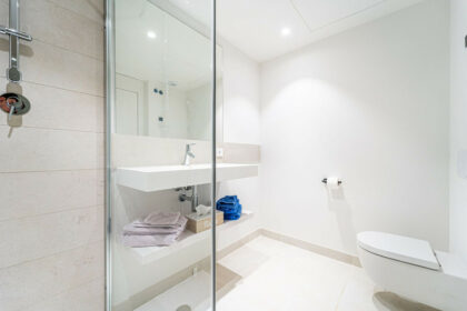 a66ac19f88393f503dc39835c95c36f7 - 12