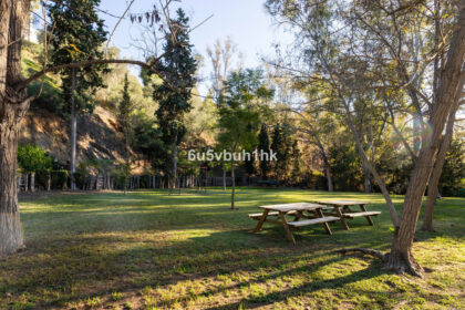 a6ea8c040e9a20275c70be18a4711657 - 30