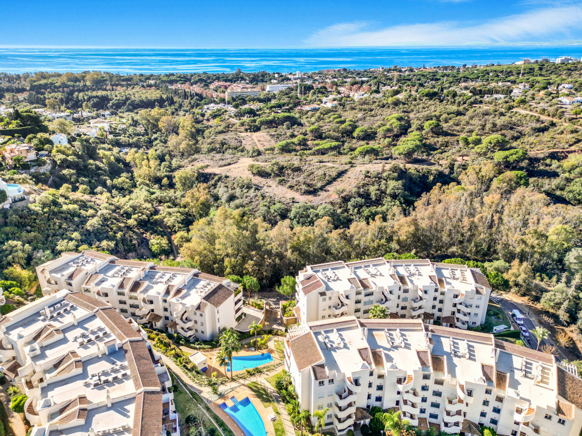 a9462e0a160de897926ec6e5f25b2f37 - 17