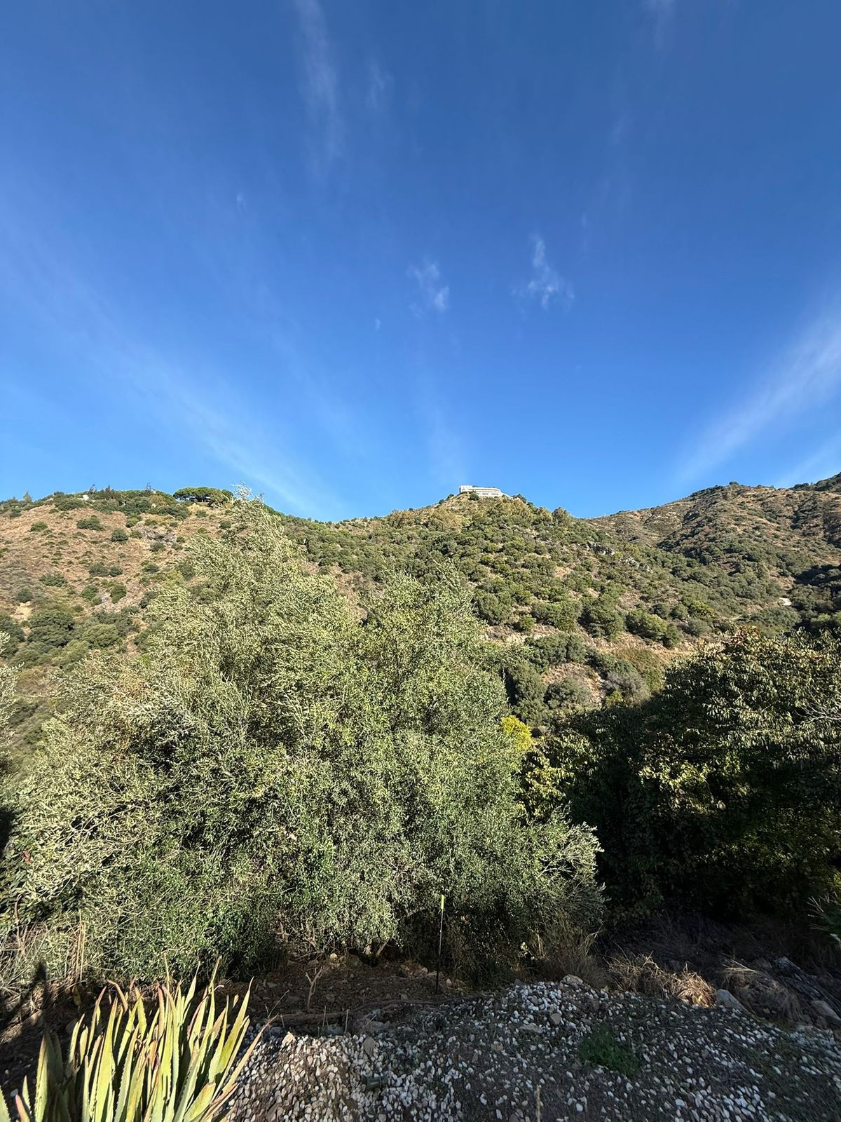 a9ce62bdac066de985a370fdcb504f47 - 17