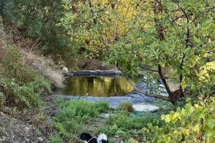 a9ce62bdac066de985a370fdcb504f47 - 18