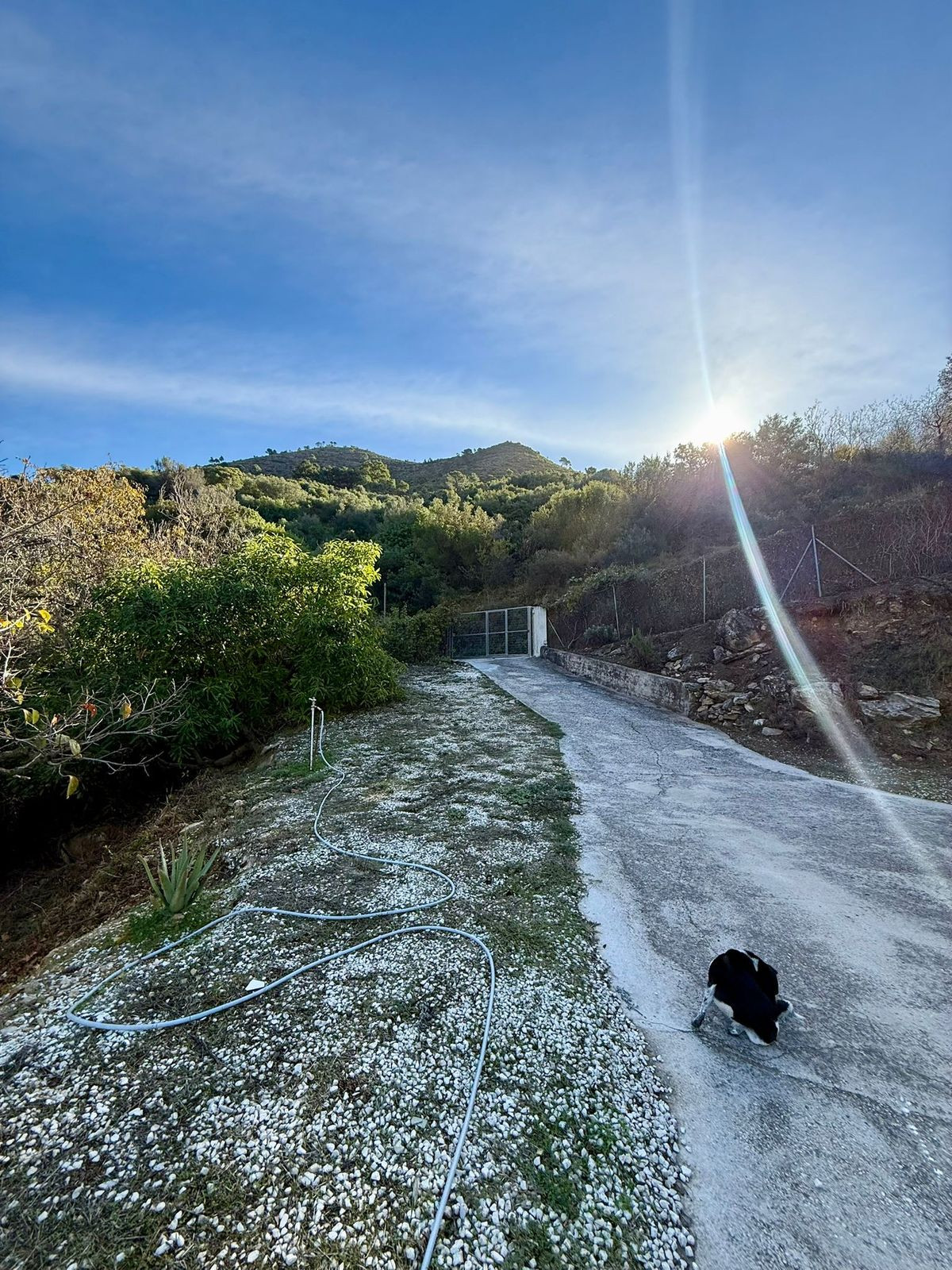 a9ce62bdac066de985a370fdcb504f47 - 2