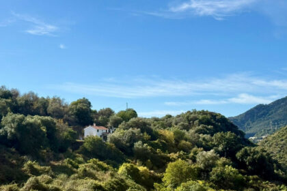 a9ce62bdac066de985a370fdcb504f47 - 21