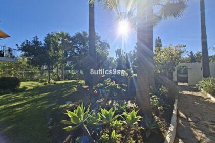 a9e170fa75d46dedffebca45ec2e2e0e - 47