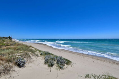 aa6f3628d51ac6f0b504f3e405b9b726 - 1