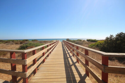 aa6f3628d51ac6f0b504f3e405b9b726 - 54