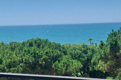 ac4f2b1fdf06e8bcd77cbfcb80998f33 - 49