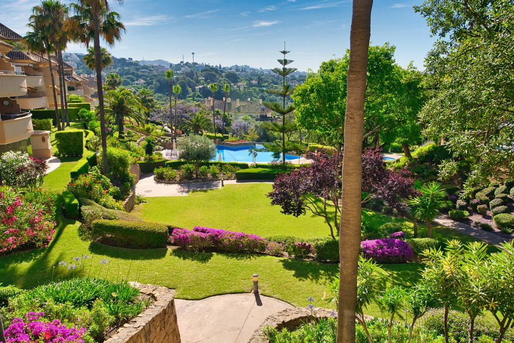 ae494a9afc5862b0e41b46cb8cc2ee57 - 5