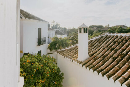 afc96164fd09be1eefce2e9ee7ca64f4 - 29