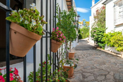 afc96164fd09be1eefce2e9ee7ca64f4 - 33