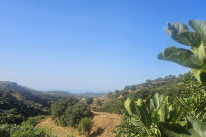 b2b157842da0b1ac70b8ad48271fc0bb - 1