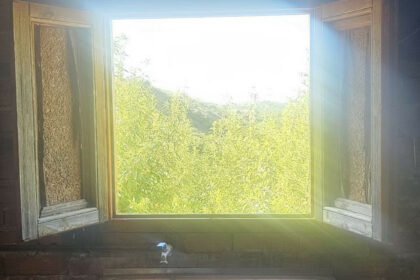 b2b157842da0b1ac70b8ad48271fc0bb - 11