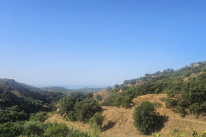 b2b157842da0b1ac70b8ad48271fc0bb - 7