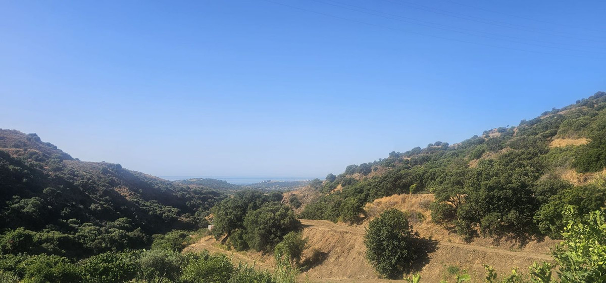 b2b157842da0b1ac70b8ad48271fc0bb - 7