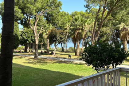 b32ce3ecdbc578a92e9dd79c861415c9 - 1