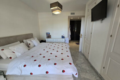 b3732bc38861bf69198ff82543f437ac - 30