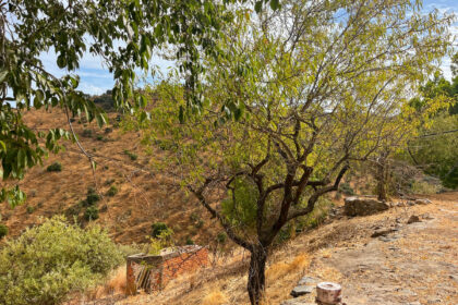 b4a159f4d9b93e2ecafec5e8b7ccee51 - 28