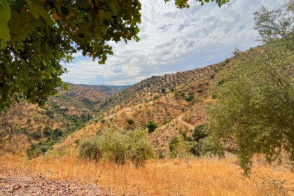 b4a159f4d9b93e2ecafec5e8b7ccee51 - 34