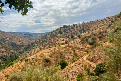 b4a159f4d9b93e2ecafec5e8b7ccee51 - 35