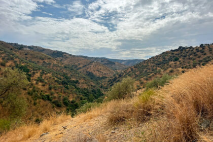 b4a159f4d9b93e2ecafec5e8b7ccee51 - 50