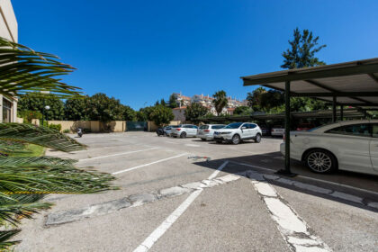 b58af84f92f2f667037532ef71ed3396 - 24