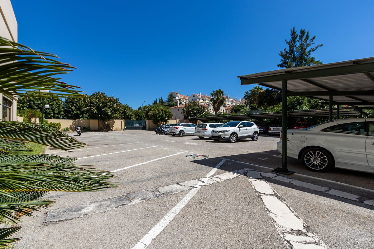 b58af84f92f2f667037532ef71ed3396 - 24