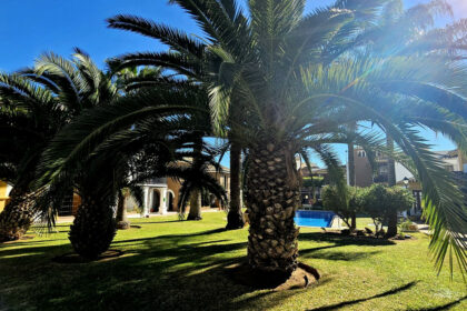 b6af5044a6a4049c2aba857c4e59af0a - 1