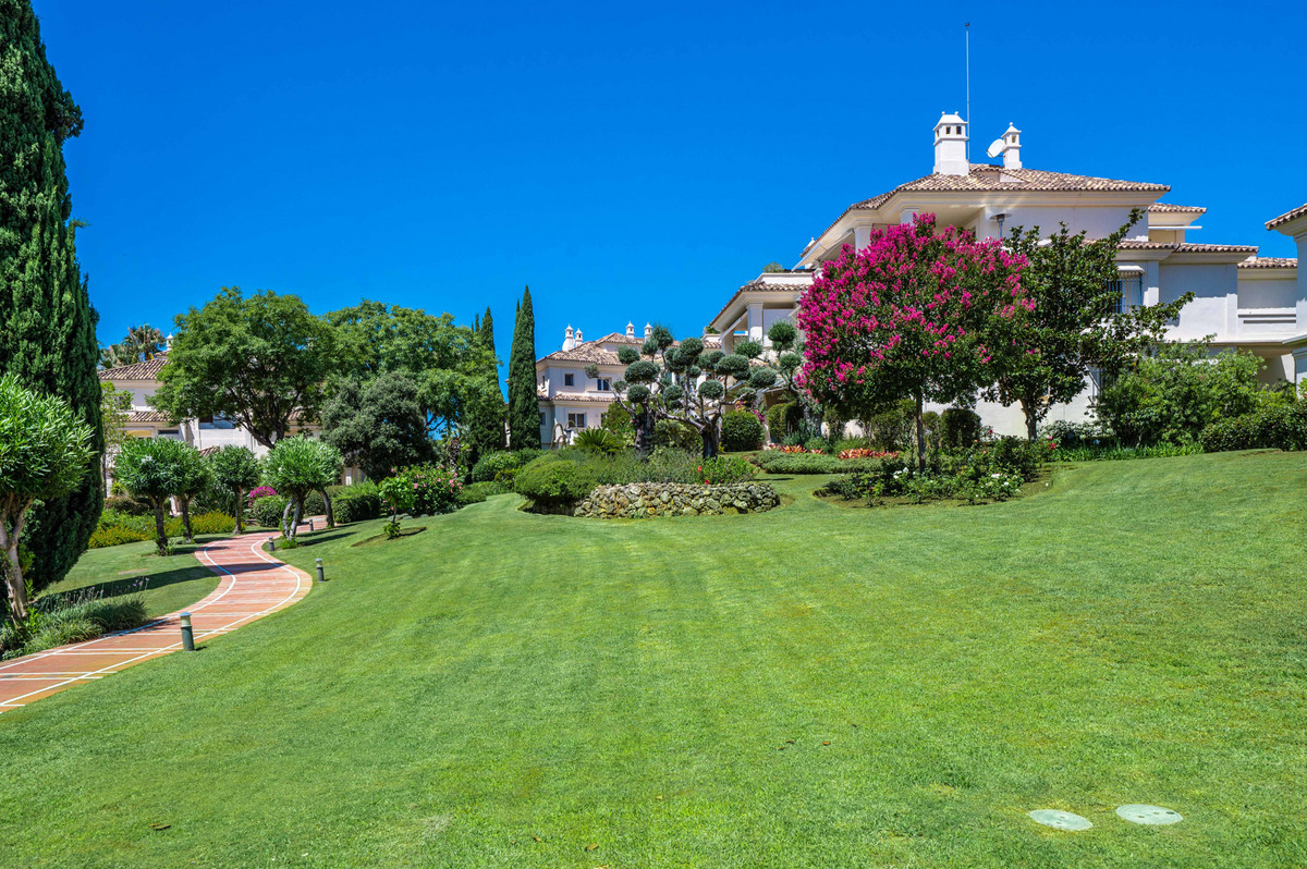 b712809718bafac489a2fb17d0838e18 - 23