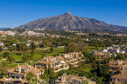 b712809718bafac489a2fb17d0838e18 - 24