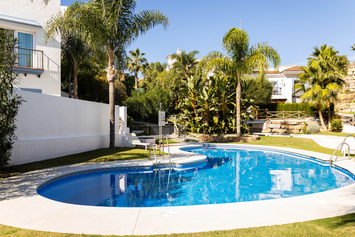 b8a075708a9ea07f570fc34a8c9be2bd - 24