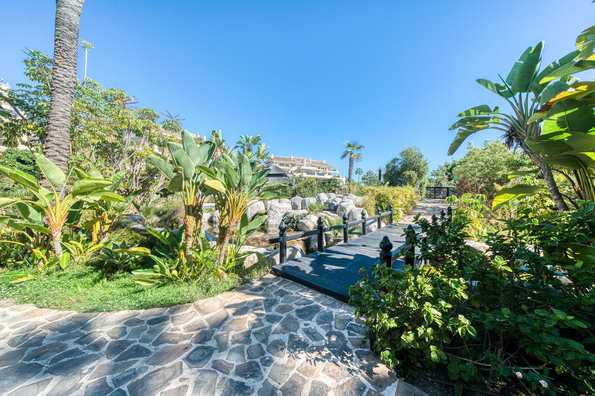 b9b9977a7425fafc0adf774e92ca54fa - 31