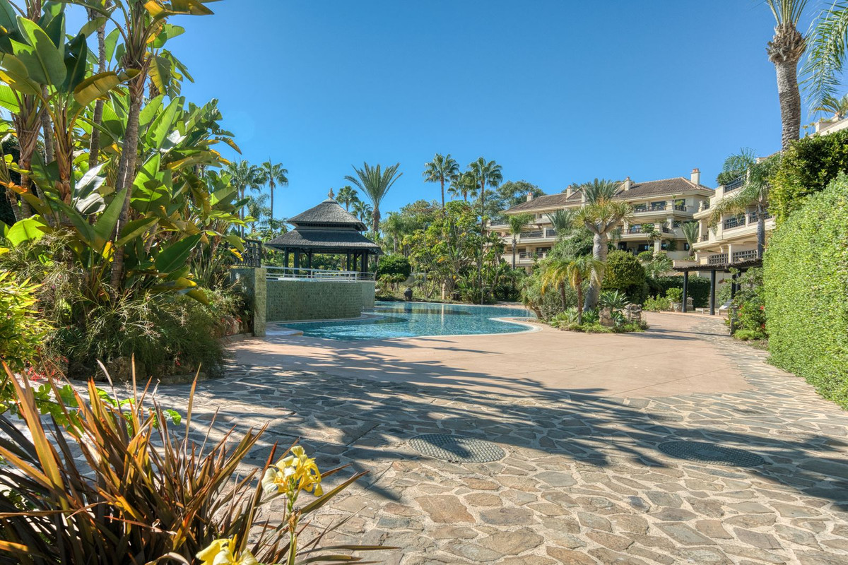 b9b9977a7425fafc0adf774e92ca54fa - 35