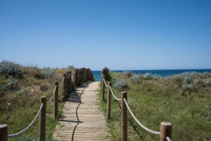 bbc17059b3056b85fe937b04a8a195fc - 28