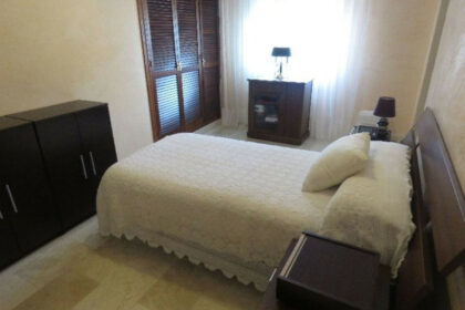 bdac9487f525fc195ef8e4ee676c6dd0 - 43