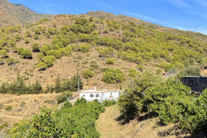 bf3157373fe0414117d6b6141b5251c7 - 11