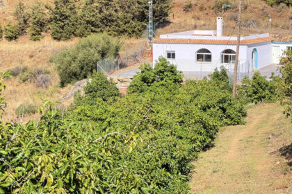 bf3157373fe0414117d6b6141b5251c7 - 37