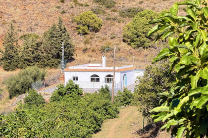 bf3157373fe0414117d6b6141b5251c7 - 38