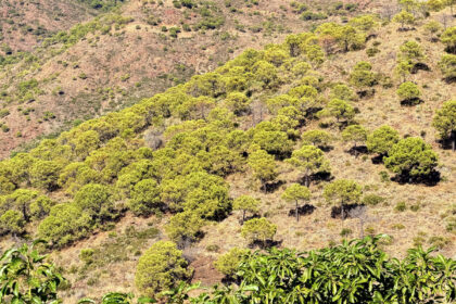 bf3157373fe0414117d6b6141b5251c7 - 39