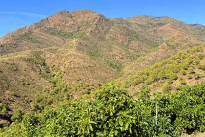 bf3157373fe0414117d6b6141b5251c7 - 40