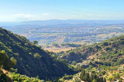 bf3157373fe0414117d6b6141b5251c7 - 41