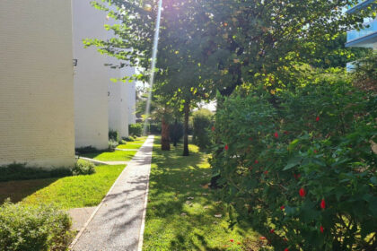 bffb2dfde4640b620f56934b45223eb1 - 20