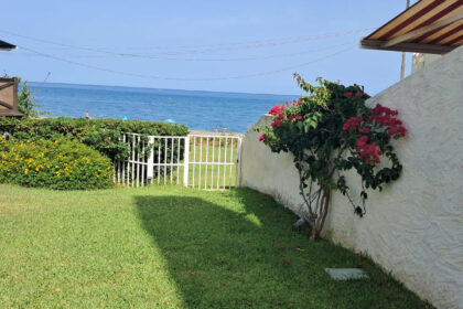 c0a6e934e9b535ec326f60c3fbe6601c - 1