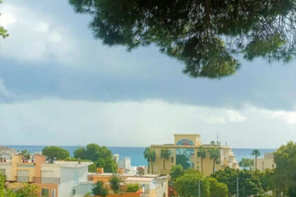 c1256db79885ac7924f654e81c2d4675 - 16