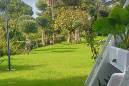 c1256db79885ac7924f654e81c2d4675 - 18