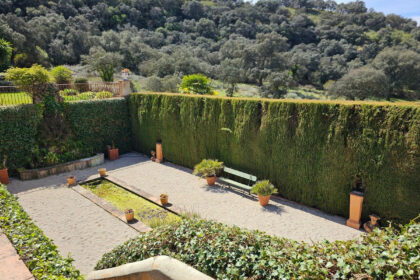 c1f1d7855acd9899863127e6d15b5a17 - 36