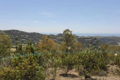 c1f4668d026ec3aa7171fd15e84c8334 - 10