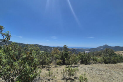 c1f4668d026ec3aa7171fd15e84c8334 - 2