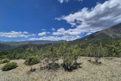 c1f4668d026ec3aa7171fd15e84c8334 - 4