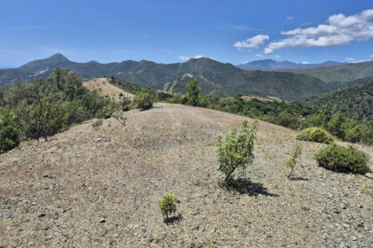 c1f4668d026ec3aa7171fd15e84c8334 - 5